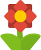 Red flower
